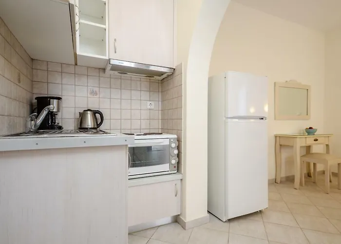 Orkos Blue Coast * ミクリ・ヴィグラ